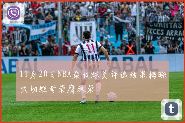 11月20日NBA最佳球员评选结果揭晓武切维奇荣膺殊荣