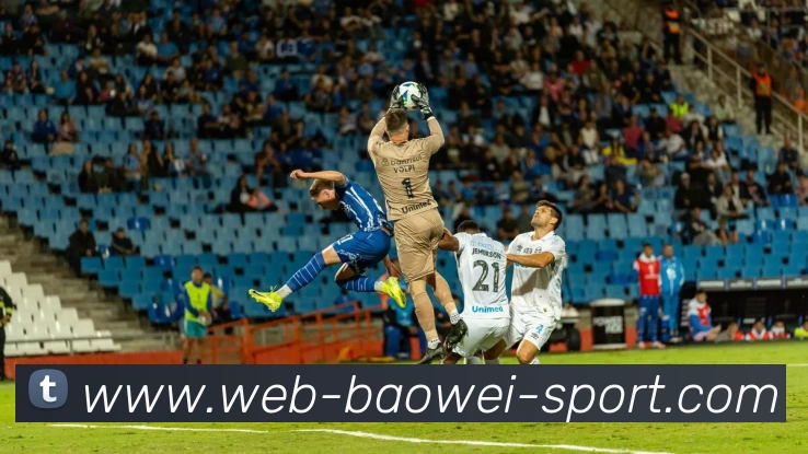 宝威体育APP 封面图